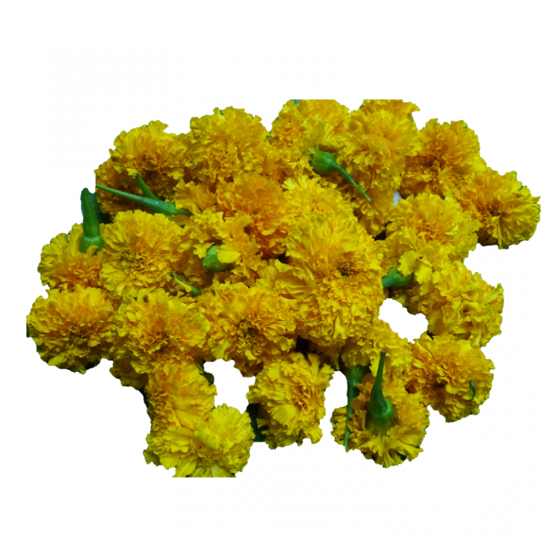 Loose Flowers Anushia Flower Shop